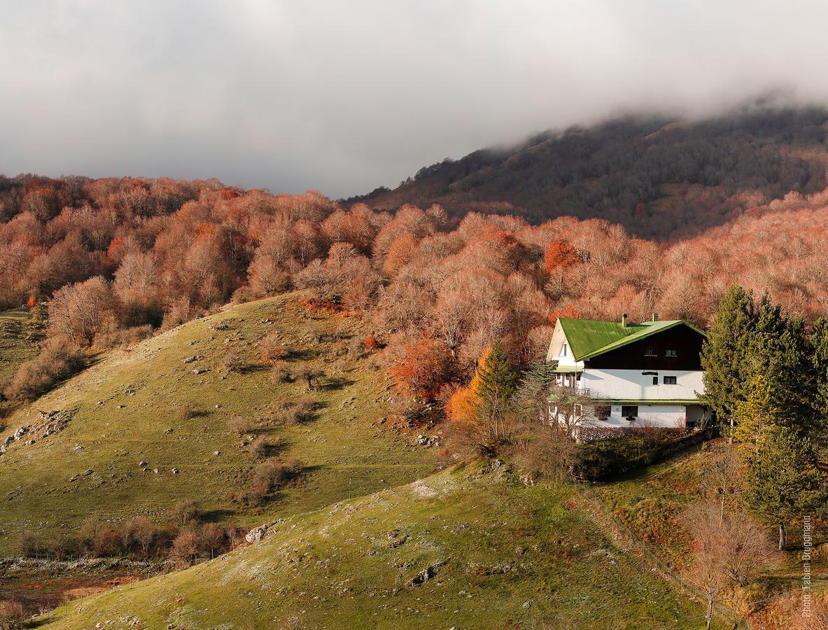 Hotel Valle Del Lupo Pescasseroli Eksteriør billede